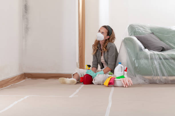 Reliable Mold Removal contractor in Runnemede, NJ by WQB Mold Removal